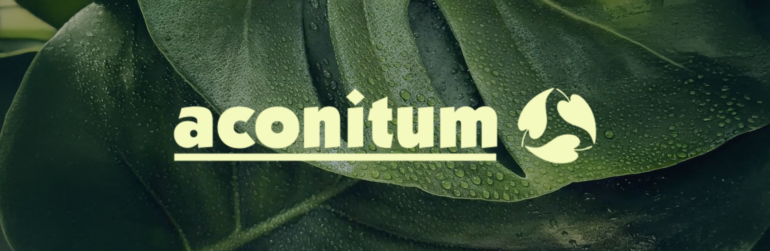 Aconitum image