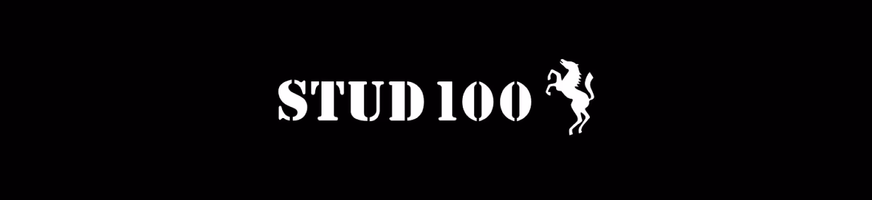 Stud 100 image