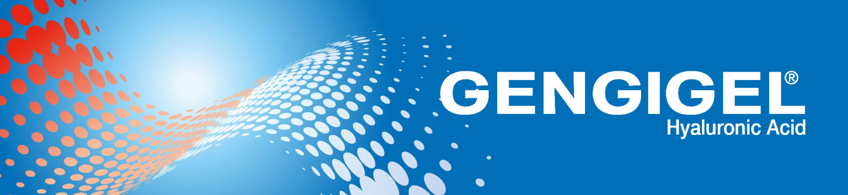 Gengigel image