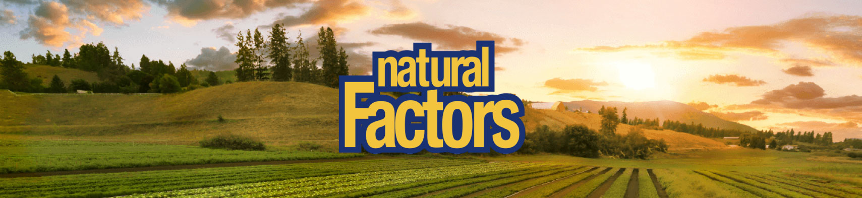 Natural Factors image