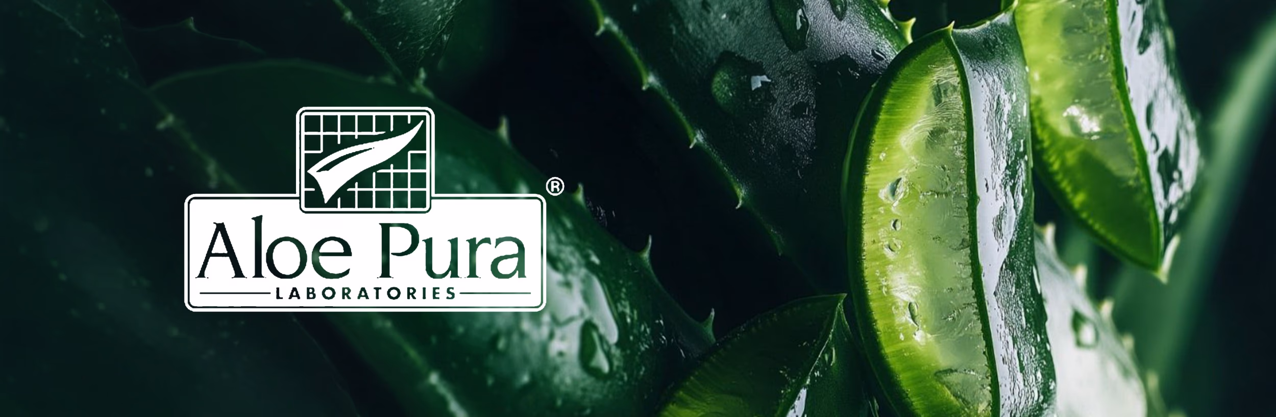Aloe Pura image