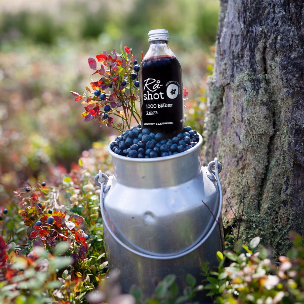 Askim Raw Shot Wild Blueberry 250ml – Norwegian Raw Juice Shot | 1000 Blueberries per Bottle | No Added Sugar | 5 Shots 2