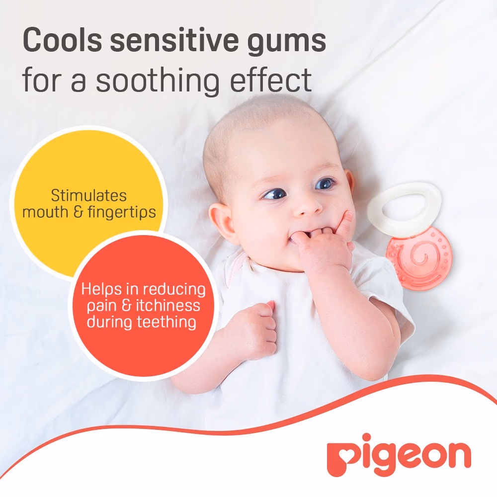 Pigeon Cooling Teether 4+ Month 625 2