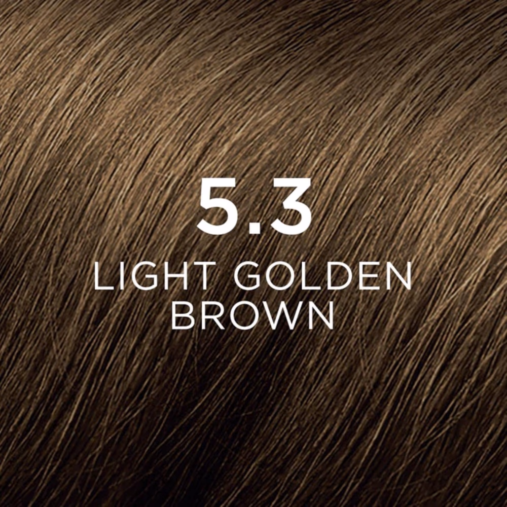 Phyto Color Permanent Hair Color 5.3 Light Golden Brown Kit | Nourishing Ammonia-Free Formula with Botanical Extracts | Radiant, Long-Lasting Color 5