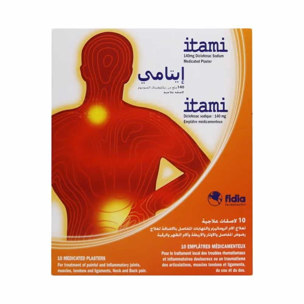 Itami Medicated Plasters 10 cm x 14 cm 10's 1