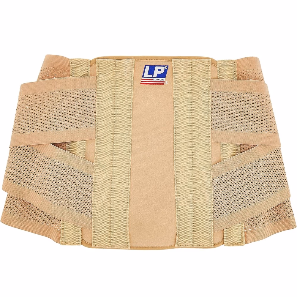 LP 917 Lumbar Support Large  3