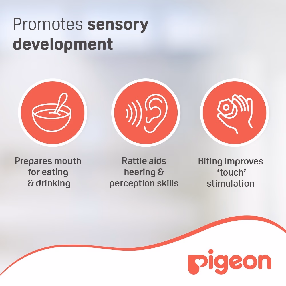 Pigeon Training Teether 4+ Months 13666 4
