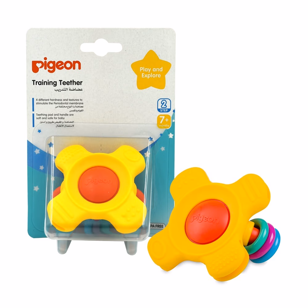 Pigeon Training Teether 7+ Months 13667 1