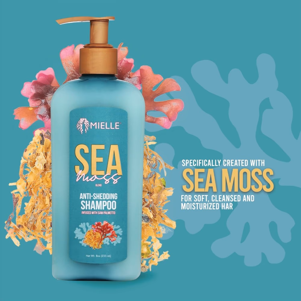 Mielle Sea Moss Anti-Shedding Shampoo (235ml) 1