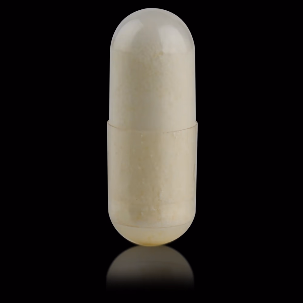 Biogena L-Lysine 500 90 Capsules 3