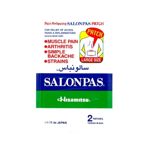 Salonpas Hot Patch Pain Relief 2 Patches 1