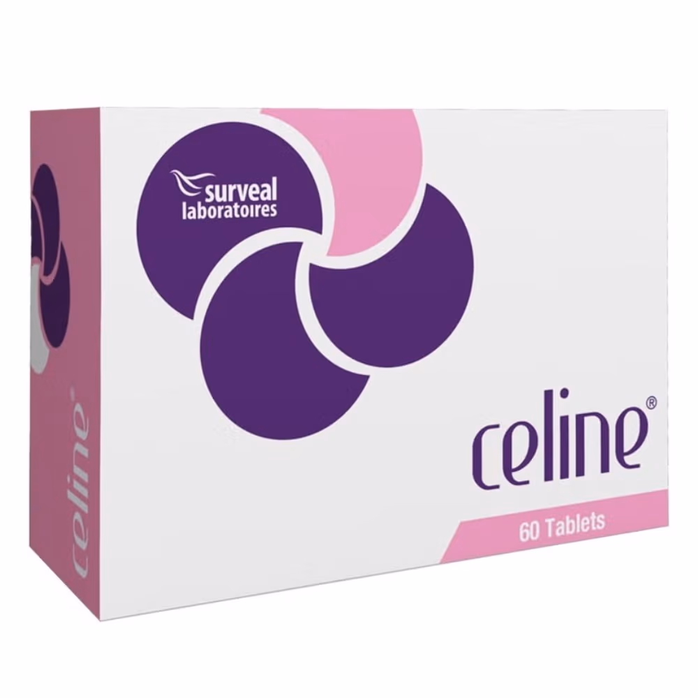 Celine Tablet 60s 1
