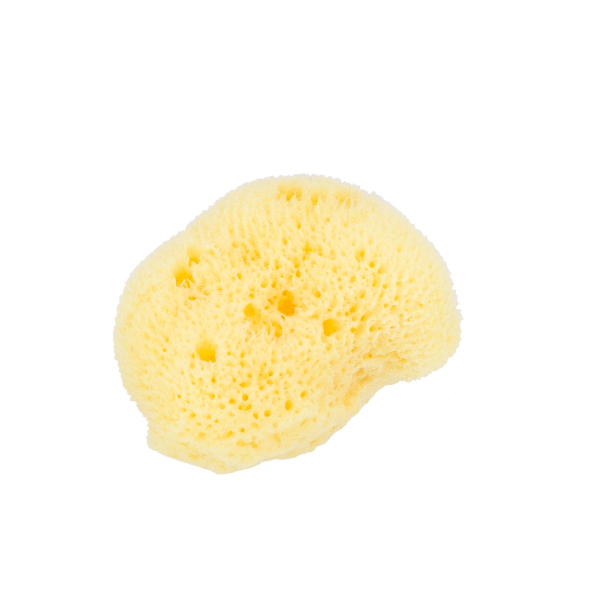 Beautytime BT219 Cosmetic Sea Sponge 1