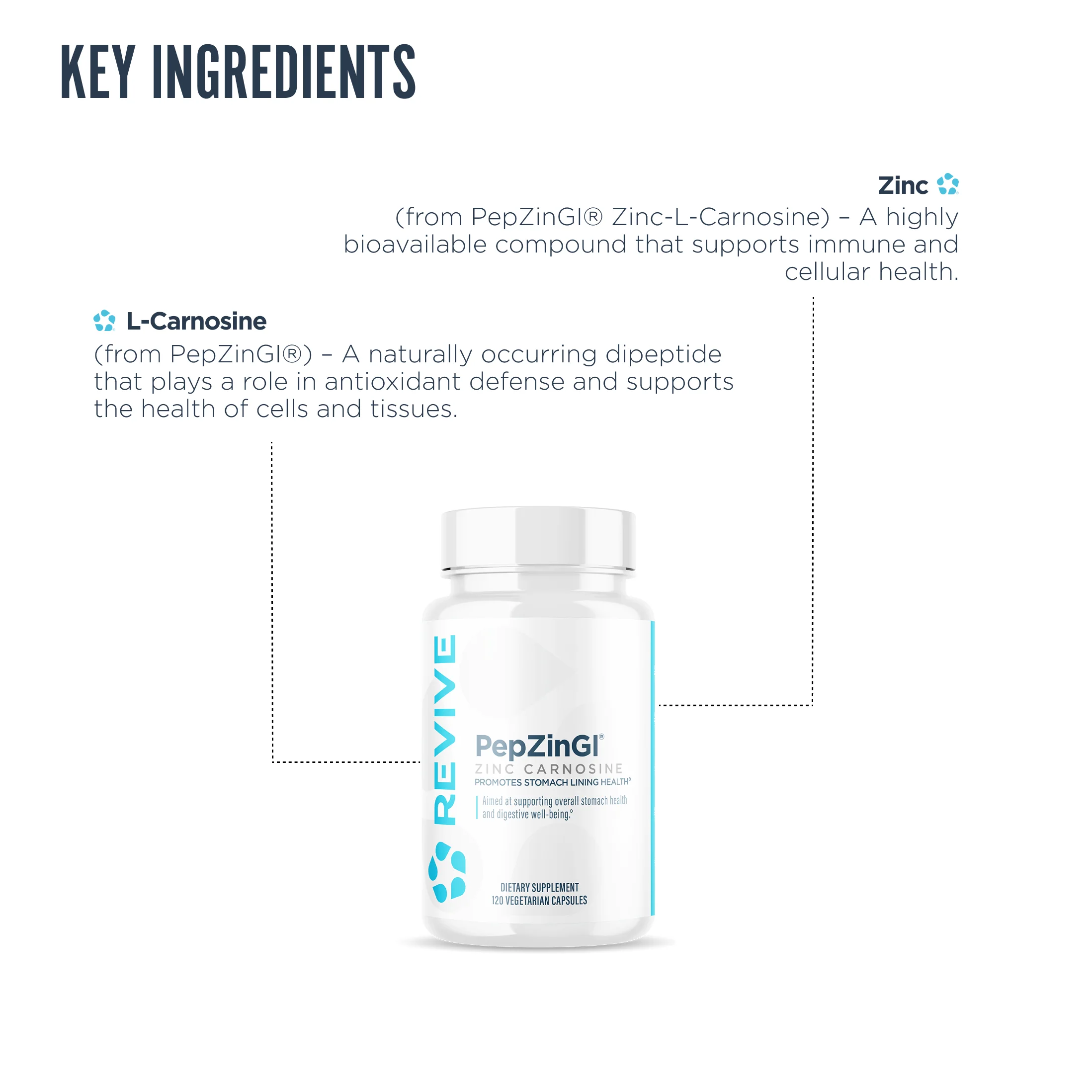 Revive Zinc Carnosine Vegetarian 120 Capsules 3